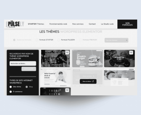 EPULSELY – Thème WordPress