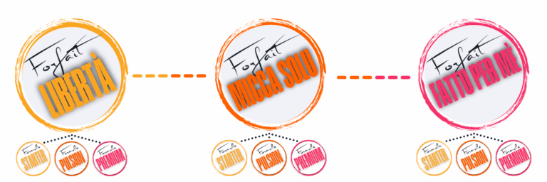 Forfaits web pour les entreprises de Corse.
